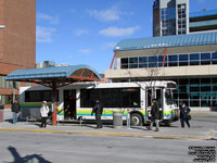 Transit Windsor 429 - 2002 Orion VII