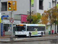 Winnipeg Transit 116 - 2009-10 New Flyer D40LFR