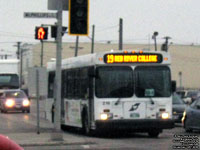 Winnipeg Transit 216 - 2004 New Flyer D40LF