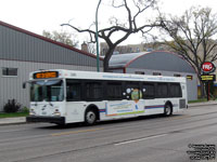 Winnipeg Transit 249 - 2005 New Flyer D40LF