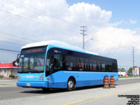 Viva 5105 - 2005 Van Hool A330