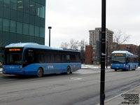 Viva 5111 and 5146 - 2005 Van Hool A330