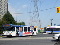 YRT 317 - 2003 New Flyer D40LF - Veolia Southwest Transdev Division