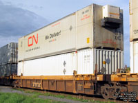 Canadian National - CNRU 288934 and IPOU 906153