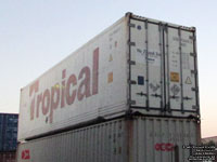 SEGU 936620(0) - Tropical