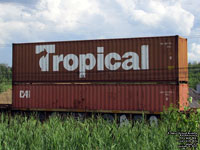 TTRU 483778(6) - Tropical and CAXU 917375(7) - CAI (Container Applications International)