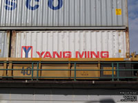 Yang Ming Line - YMLU 278131(2)