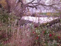 Bulstrode river floodings