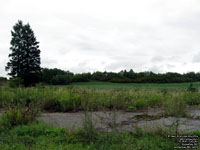 Chemin de Shipshaw, St-Jean-Vianney