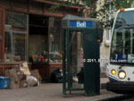 Bell Canada payphone located in Old Quebec, Quebec