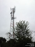 Cell Tower