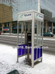 Telus payphone in Edmonton, Alberta