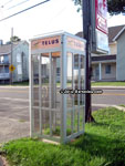 Telus payphone