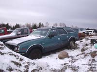 AMC Eagle