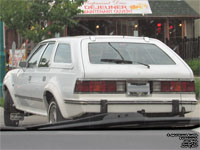 AMC Eagle