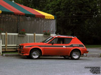 AMC Gremlin