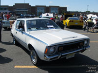 AMC Gremlin