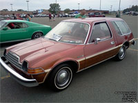 AMC Pacer D/L