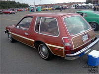 AMC Pacer D/L