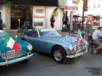 Austin-Healey 3000