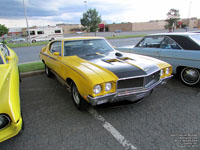 Buick Skylark GSX