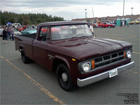 Dodge 100