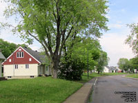 Wolfe Street Houses