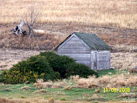 Barn, Dusty area,OR