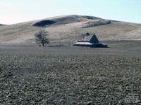 Lonesome barn, St.John area,WA