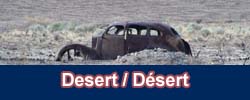 Western desert landscapes