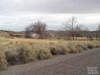 Goshute Pass,NV