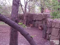 Lincoln Park Zoo