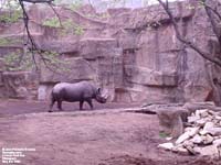 Lincoln Park Zoo