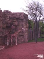 Lincoln Park Zoo