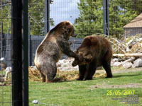 West Yellowstone