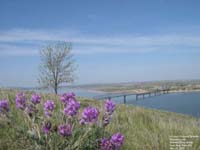 Missouri river, New Town,ND