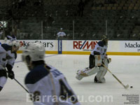 Jaroslav Halak  - St. Louis Blues