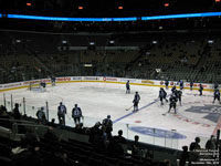 Toronto Maple Leafs