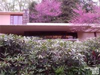 Fallingwater