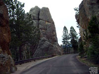 Black Hills