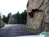 Black Hills