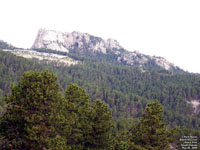 Black Hills