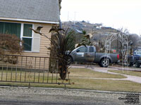 Dinosaurs in Granger, Washington