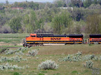 BNSF 1033 - C44-9W