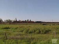 A BNSF train in Cheney,WA