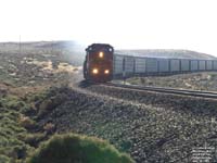 A BNSF train in Patterson,WA