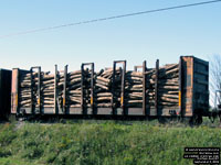 Canadian National (Algoma Central) - AC 238528