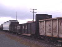 Canadian National (Algoma Central) - AC 8313