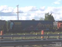 Governement of Alberta / CN fleet - ALNX 396024