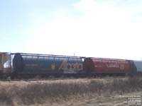 Governement of Alberta / CN fleet - ALNX 396299
